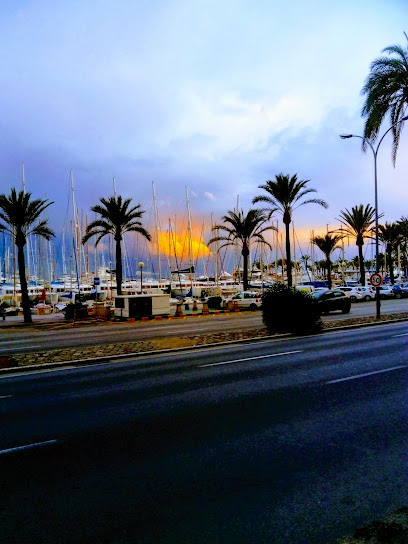 Parking Smap Marquès de la Sénia | Parking économique à Palma